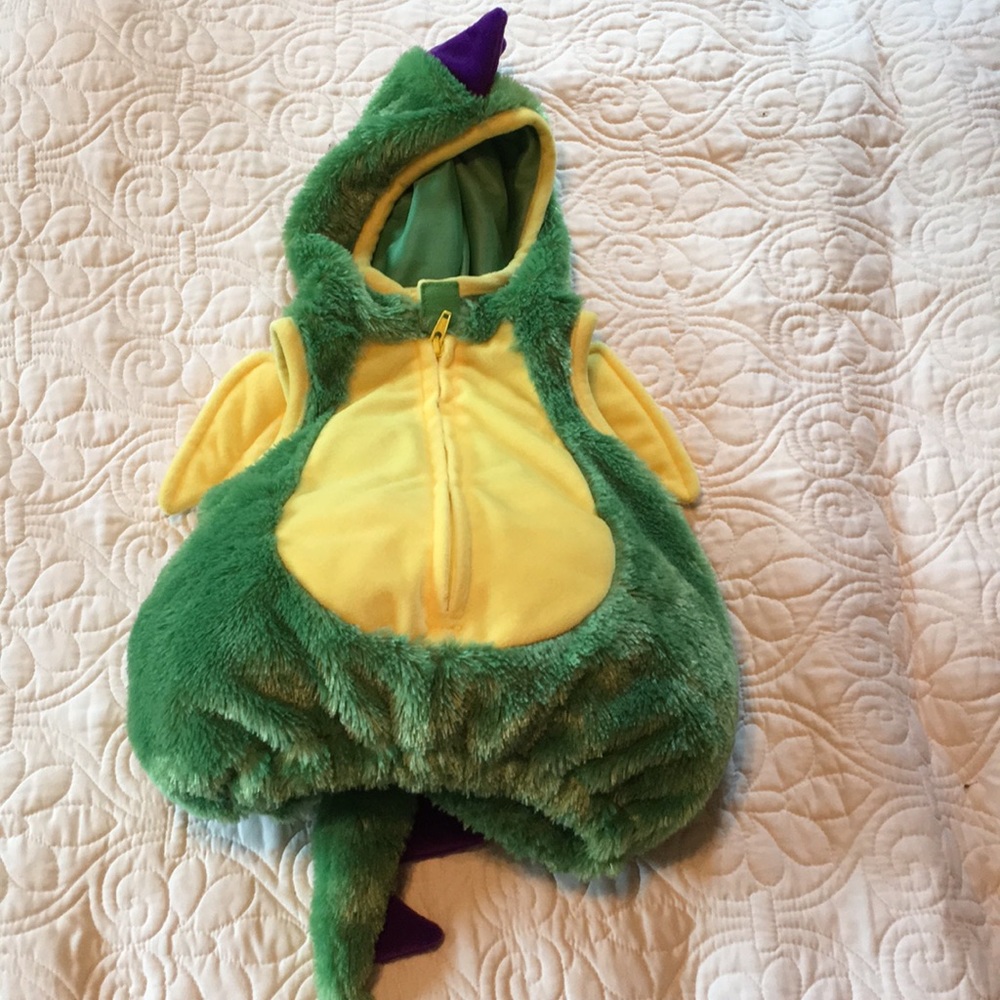Adorable baby dragon costume, size 6-9M